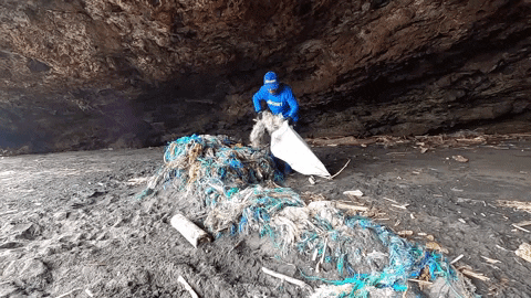 Earth Day GIF by 4ocean