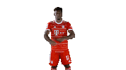 Happy Lets Hear It Sticker by FC Bayern Munich