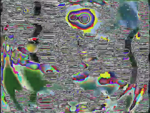 video art GIF by sinuendo