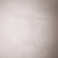 Idiot Apulia GIF
