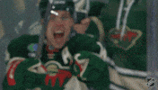 Happy Minnesota Wild GIF by NHL