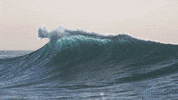 Ocean Surf GIF