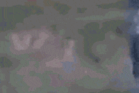 close up aunt GIF by Josh Rigling