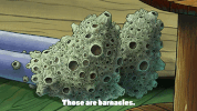 season 9 the fish bowl GIF by SpongeBob SquarePants