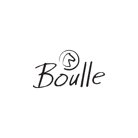 boullemoveis giphyupload boulle boullemoveis Sticker
