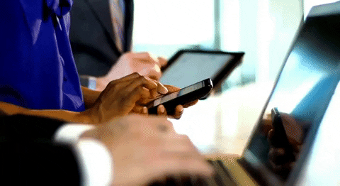 Shiba Bets GIF by SHIBABETS.GG