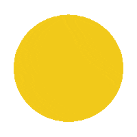 Festival App Sticker by November Five