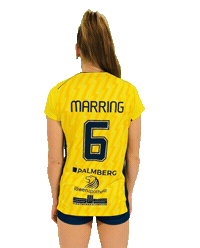 Volleyball Sticker by SSCPalmbergSchwerin