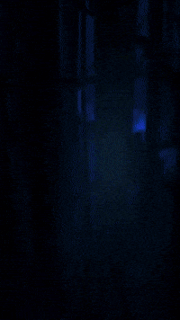 Dragon Ball Horse GIF