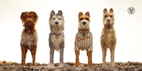 wes anderson dogs GIF by Fox Searchlight