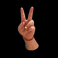 MUITEC muitec muiwow muionline GIF