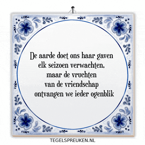 Humor Troost GIF by Tegelspreuken.nl