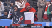 National Football League GIF by NFL