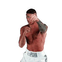Sauerland Sticker by Matchroom Boxing