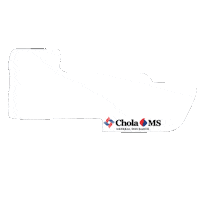 CholaMSGeneralInsurance healthy healthy lifestyle healthy eating eating healthy Sticker