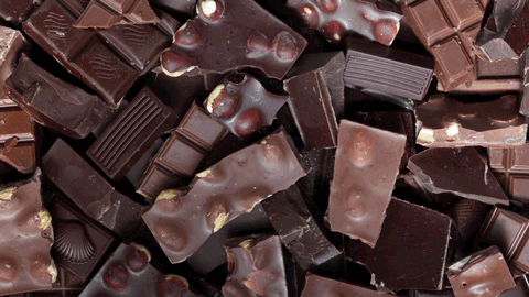 chocolate GIF by PBS Digital Studios