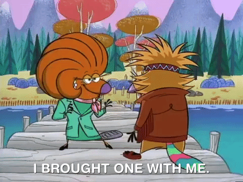 nickrewind giphydvr nicksplat angry beavers giphyab017 GIF