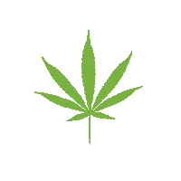 Mary Jane Weed Sticker by True Botanicals