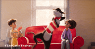 Bill Hader Cat GIF by Warner Bros. Pictures