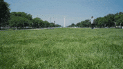 Washington Dc GIF by BabylonBee