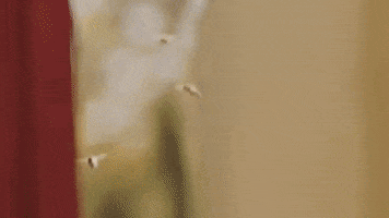 reservoirmedia  GIF