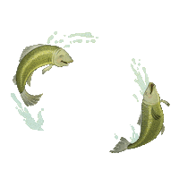 Childrens Book Water Sticker by Chrissy Metz