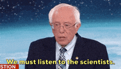 Bernie Sanders 2020 Race GIF