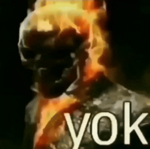 solacefie nope giphycreatortest yok ghostrider GIF