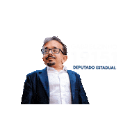 Santa Catarina Deputado Estadual Sticker by Gabrielzinho