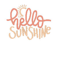 Always Sunny Hello Sticker