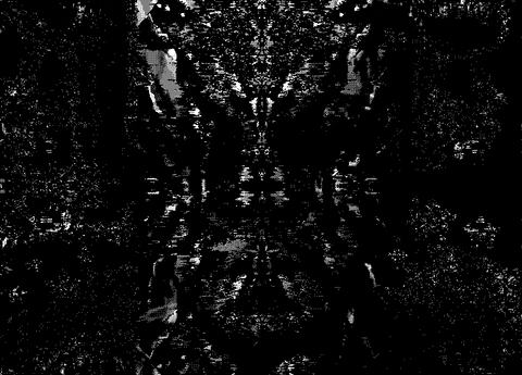 selfie 8bit GIF by Nico Roxe