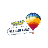 Tersteegeballonfestival Sticker by Ballonfestival Hardenberg