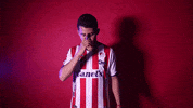 Sanluis Adsl GIF by Atlético de San Luis