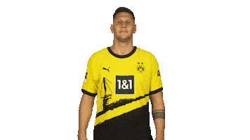 Borussia Dortmund Yes Sticker by Bundesliga