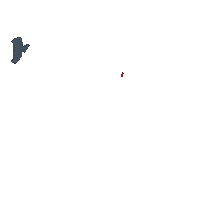 4Th Of July Stars Sticker by enchanted grdn