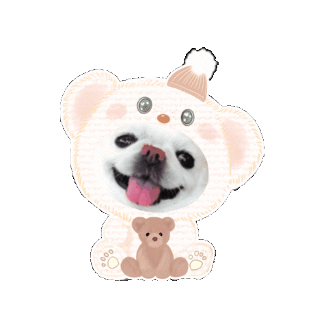 Bear くま Sticker