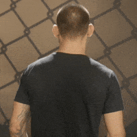 Excited Lets Go GIF by UFC