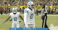 2018 Nfl Football GIF by NFL