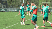Football Soccer GIF by SV Werder Bremen