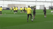 mancity sports football soccer city GIF