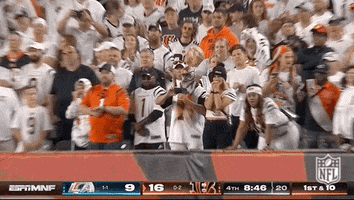 National Football League GIF by NFL