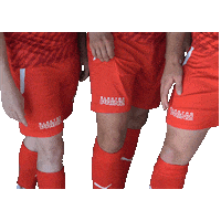 Vfl Osnabrück Tattoo Sticker by TuS Bersenbrück