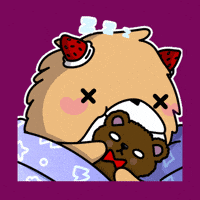 Night Sleep GIF