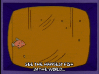 season 4 episode 13 GIF