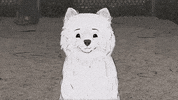 season 1 cats GIF by Animals