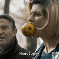 Doctor Who Television GIF by BBC America