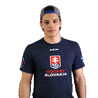 hockey pivo Sticker by Pilsner Urquell