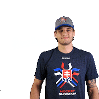 hockey slovakia Sticker by Pilsner Urquell