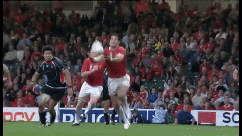 Rugby Wales GIF