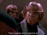 Star Trek Goss GIF by Goldmaster